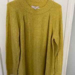 Plus size Loft sweater